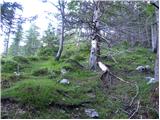 Hunting cottage Na Brežičih - Kocbekov dom na Korošici